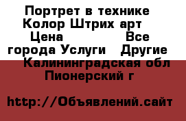 Портрет в технике “Колор-Штрих-арт“ › Цена ­ 250-350 - Все города Услуги » Другие   . Калининградская обл.,Пионерский г.